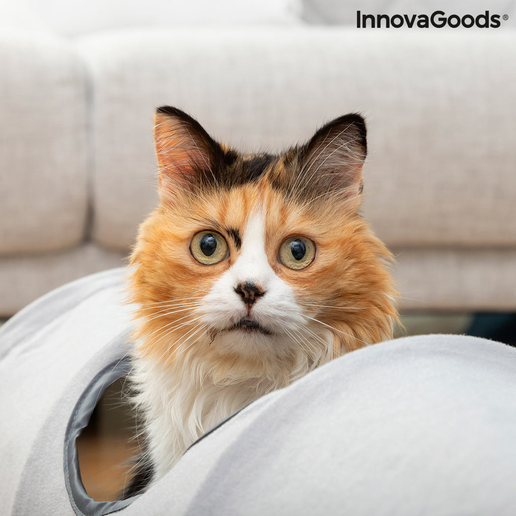 Sammenleggbar kattetunnel Funnyl – InnovaGoods