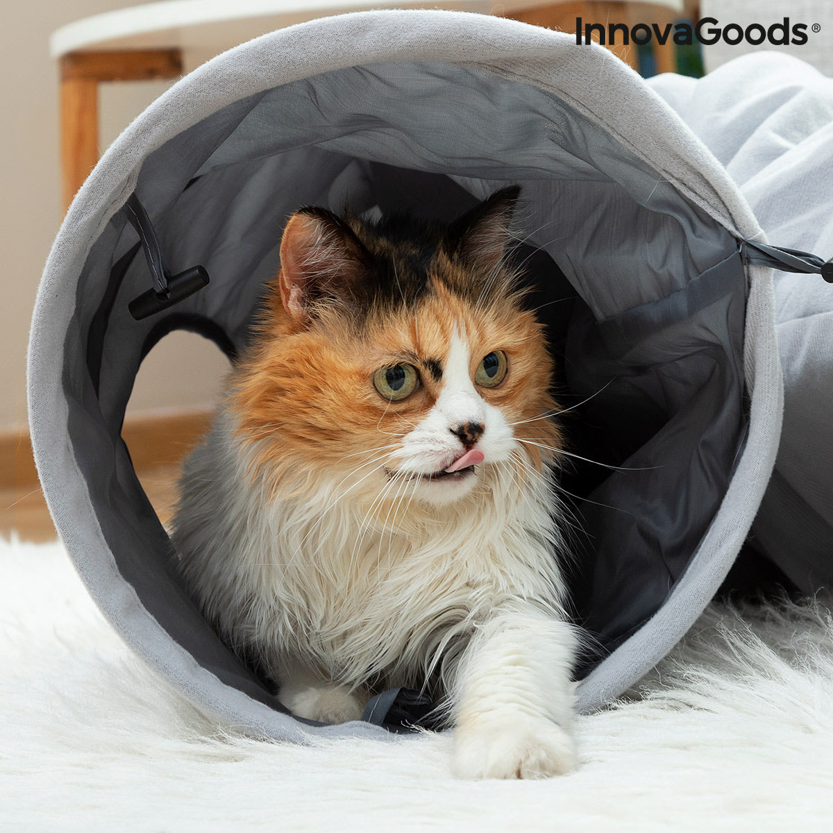 Sammenleggbar kattetunnel Funnyl – InnovaGoods