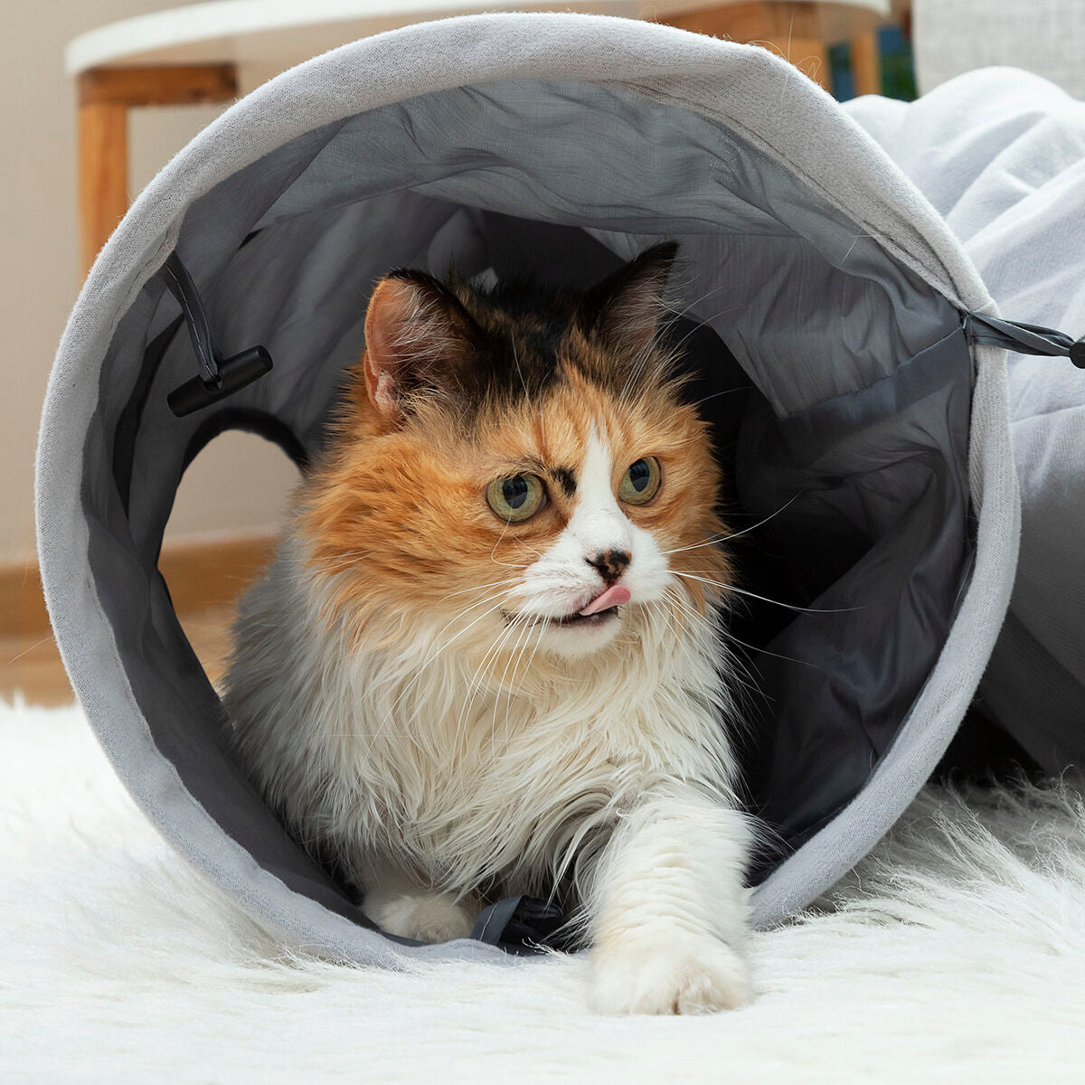 Sammenleggbar kattetunnel Funnyl – InnovaGoods