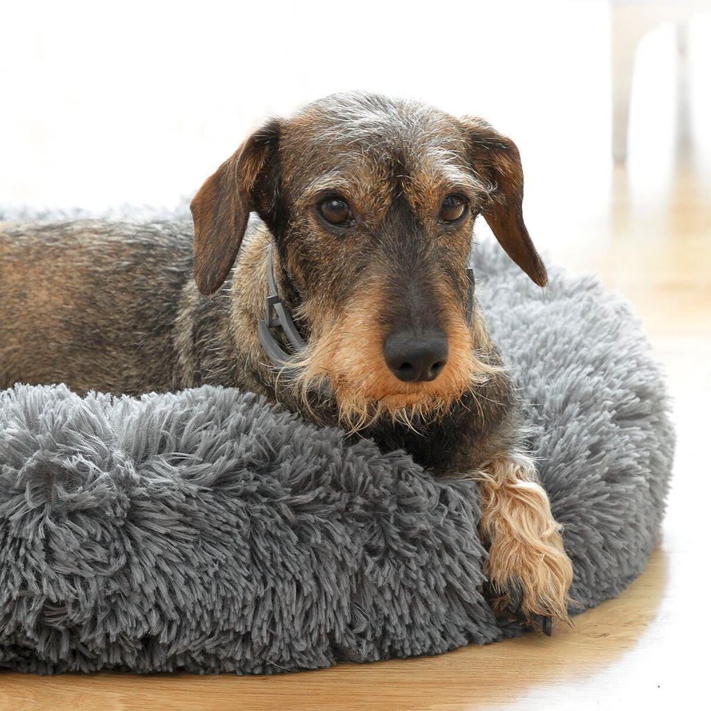 Antistress-hundeseng Bepess – InnovaGoods, Ø 60 cm